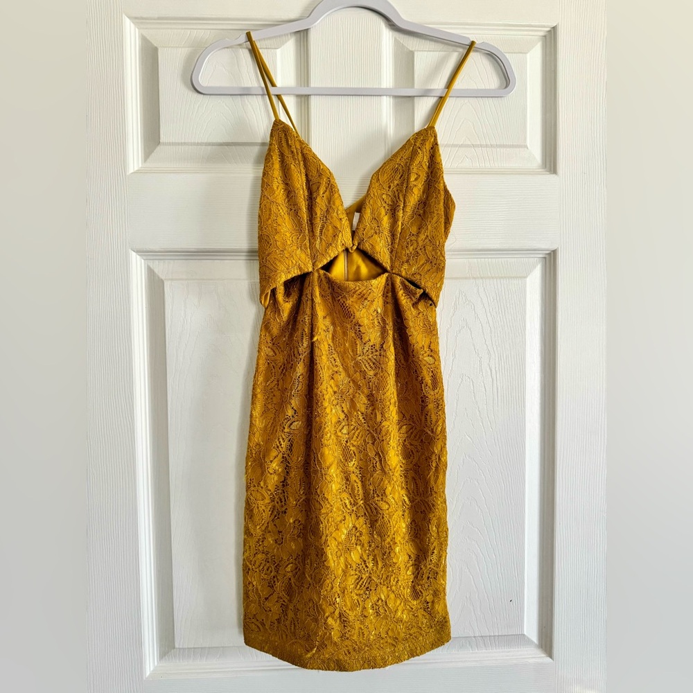 Urban Outfitters Line & Dot Bodycon Lace Dress